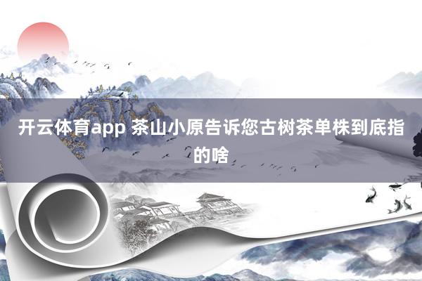 開云體育app 茶山小原告訴您古樹茶單株到底指的啥
